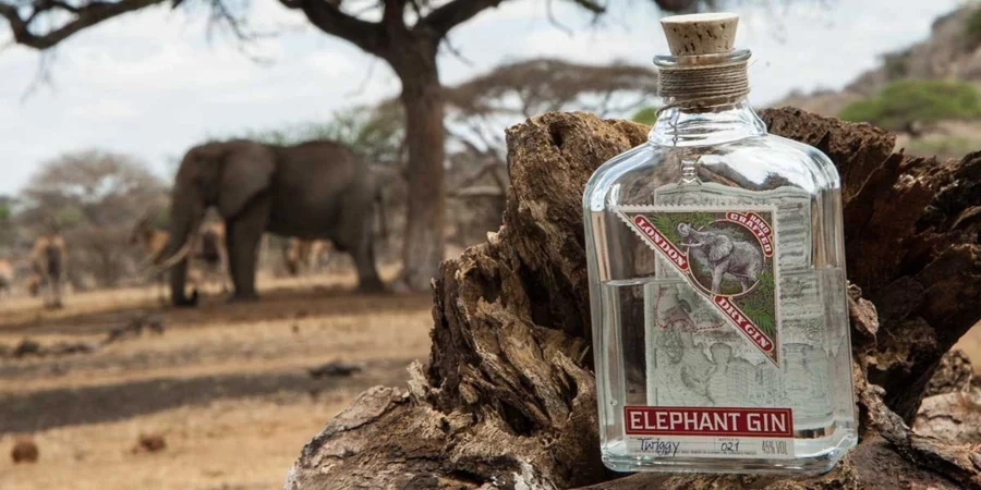 Elephant